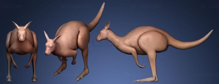 3D model Kangaroo (STL)